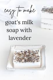 goat milk soap recipe quick and easy