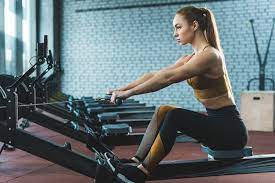 upper body gym machines for women