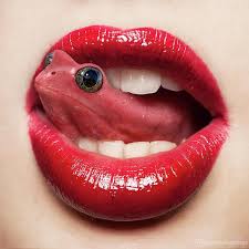art frog lips funny pictures