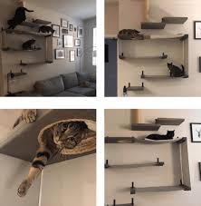 wall mounted stairs for cats behind