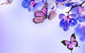 Aesthetic Purple Butterfly Wallpapers ...