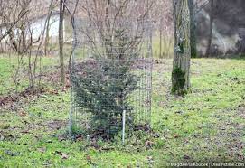 how to keep deer away from your trees