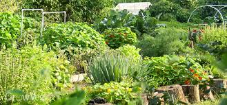 How To Create A Vegetable Garden On A Slope