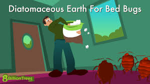 use diatomaceous earth for bed bugs