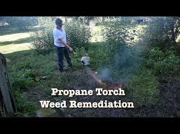 Propane Torch Weed Remediation Harbor