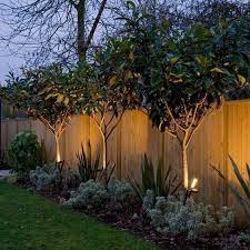 Landscaping Ideas For Along The Fence