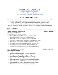 senior technology manager resume