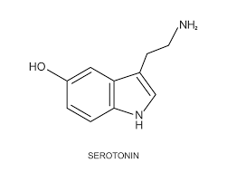 serotonin icon happy or feel good