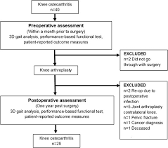 Flowchart Of Included Patients With Knee Osteoarthritis Oa