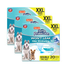 dog pads 60 count mountain fresh scent