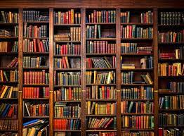 bookshelf images browse 763 016 stock