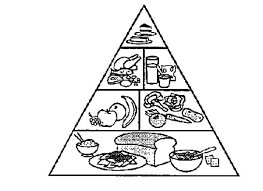 Food Pyramid Coloring Pages For Kids Download Print Online