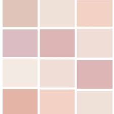 the best blush paint colors west