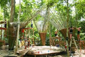 Atelier Cole Bamboo Trees Divisare