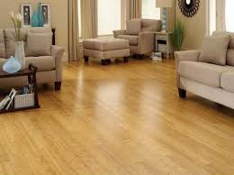 bamboo flooring review pros and cons