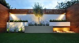 Bamboo Landscaping