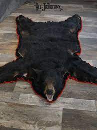 black bear taxidermy rug sku 2235 all
