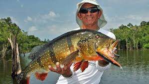 Global encounters of the wilderness kind (2020). Facilitating Amazon Adventures Outdoor Channel Fishing Boats Hunting Fishing Inshore