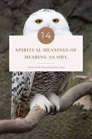 14 Spiritual Meanings Of Hearing an Owl - Spiritualmeanings.org