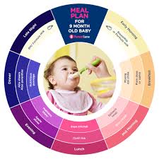 9 months old baby food chart