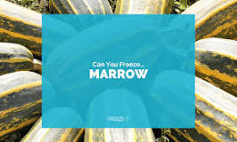 Can  you  freeze  marrow  raw?