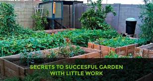 permaculture garden secrets to succed