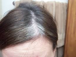 Best Hair Color For Gray Hair Coverage Natural Dye At Home