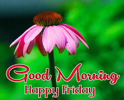 Success comes to those who have the will power to win over their snooze buttons. Happy Friday Good Morning Images Free Good Morning Images