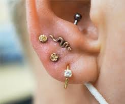 ear piercing in columbus ohio piercology