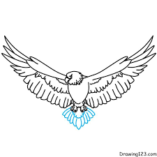 eagle drawing tutorial how to draw
