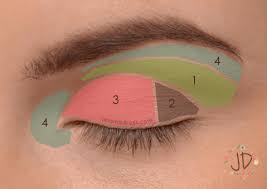 How Tos Wiki 88 How To Apply Eyeshadow Diagram