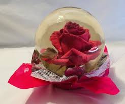 Rose Preserved Roses