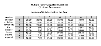Texas Child Support Calculator Support