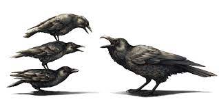 Crows Have a Mob Mentality Toward Ravens | All About Birds All About Birds