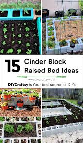 15 best cinder block raised bed
