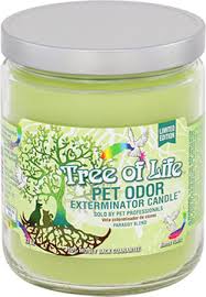 Add fragrance to your home without a flame. Pet Odor Exterminator Candles Mutneys Professional Pet Care