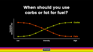carbs or fat to fuel endurance exercise