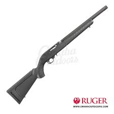 ruger 10 22 takedown with threaded