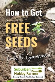 Free Seeds From The Government It S