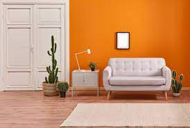Home Interior Wall Colour Combination