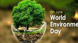 The day is observed by the united nations principal also see: World Environment Day 2019 Indian Missions Make Awareness Over The World Significance Of Theme Time Bulletin