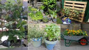 Growing Vegetables In Small Spaces And
