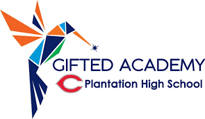 gifted academy overview