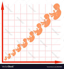 Human Fetus Growth Chart