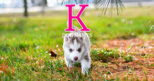 dog names that start with k 250