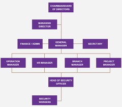 Organization Chart Osg Security Services