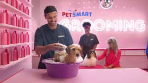 petsmart anything for pets grooming