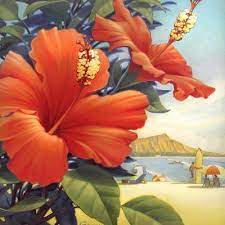Hawaii Vintage Prints Paintings