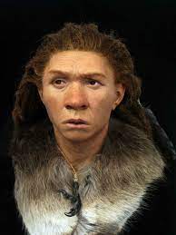 Qué aspecto tenían los neandertales o los cromañones? Así eran sus rostros