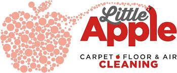 little apple carpet floor air cleaning